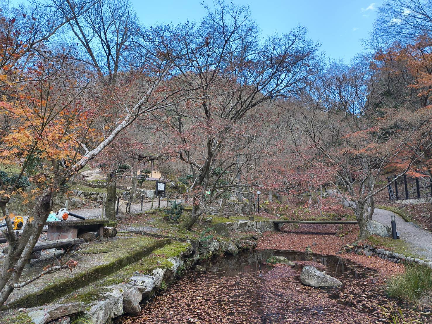 2025年12月3日現在東山公園紅葉写真1