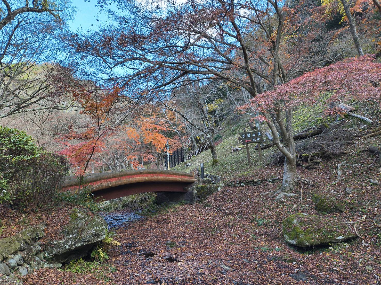 2025年12月3日現在東山公園紅葉写真2