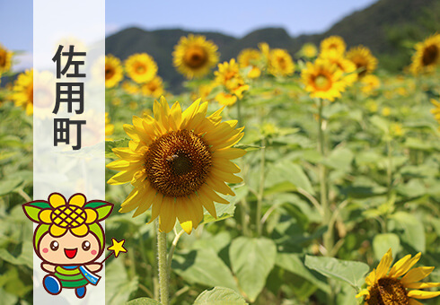 佐用町