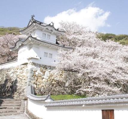 龍野城と桜