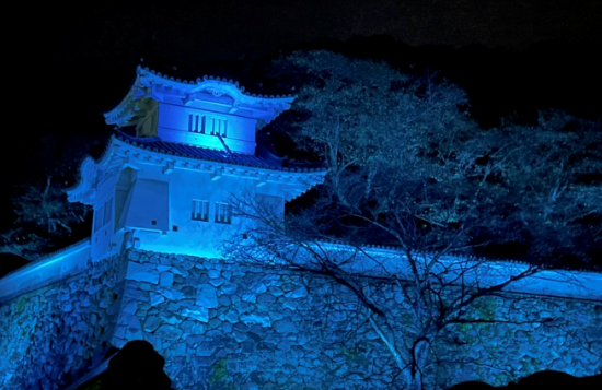 龍野城ブルーライトアップ