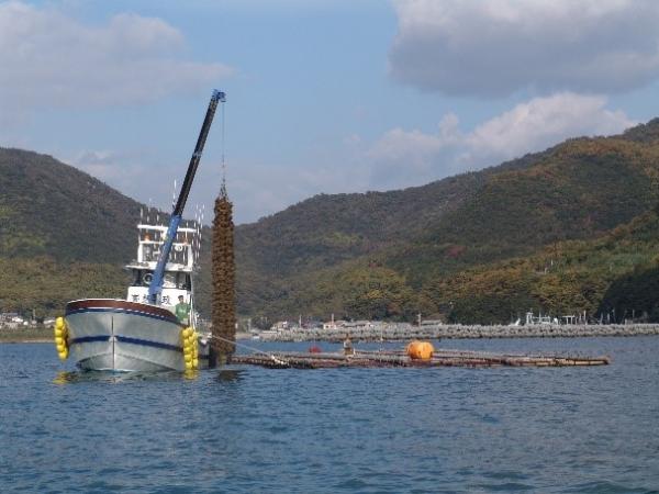 海の中から網を引き揚げている船の写真