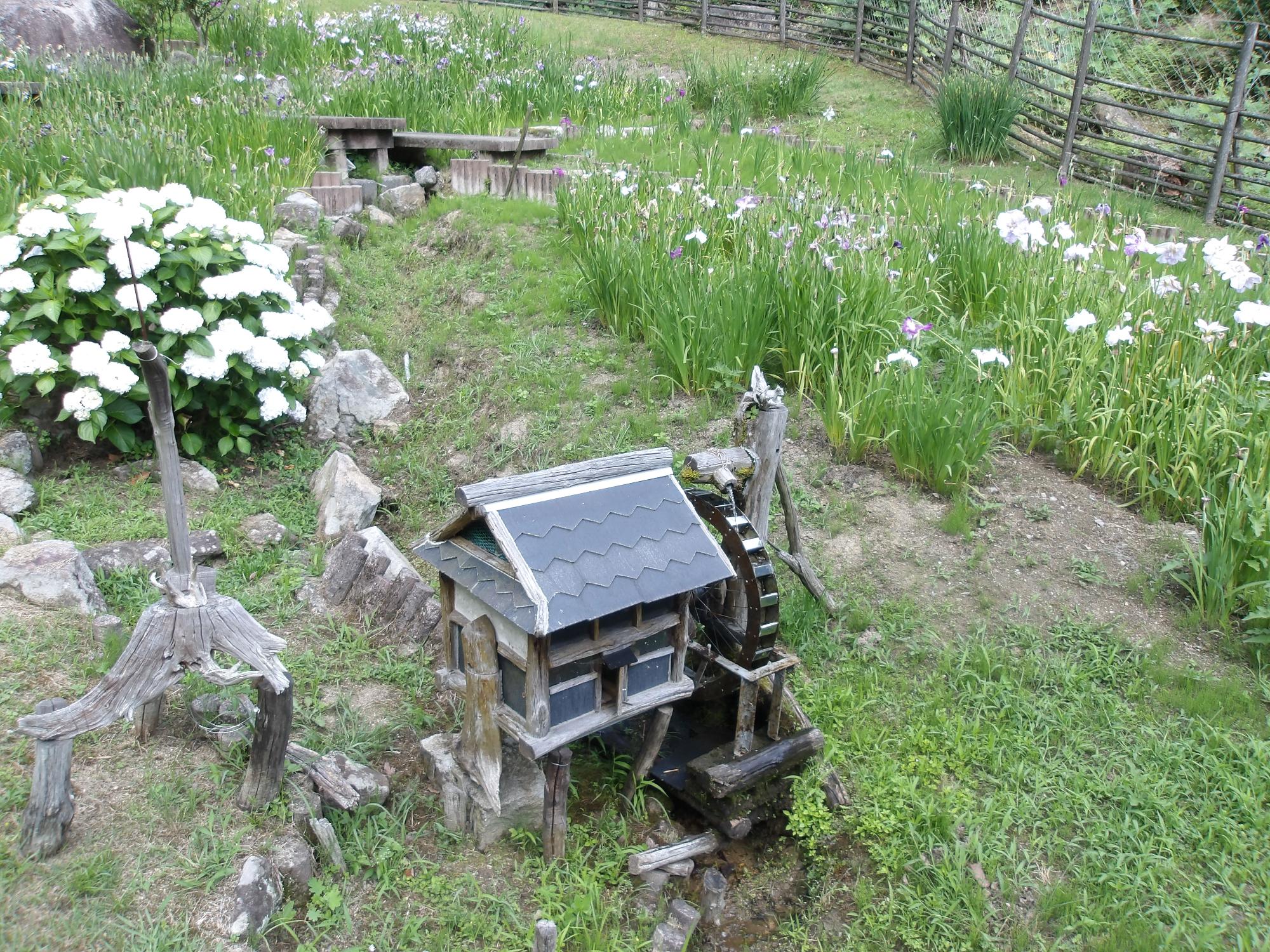 菖蒲園全体写真