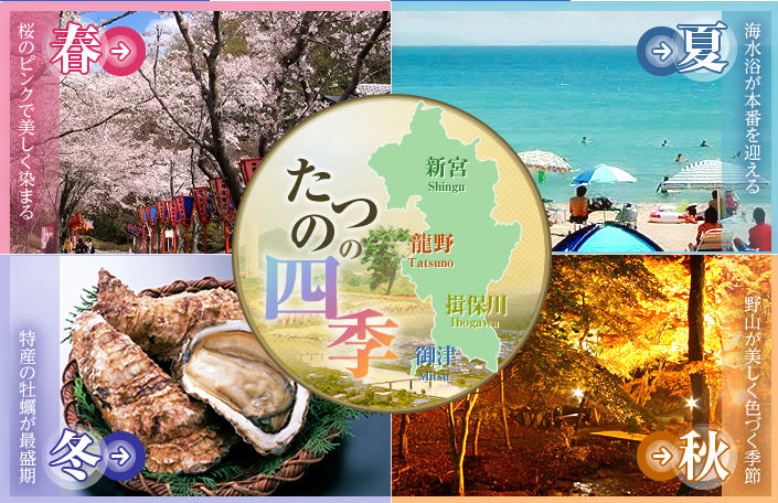 たつのにある花や自然、海産物などの四季をまとめたロゴ