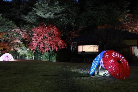 夜の聚遠亭、ライトアップされた和傘で飾られた様子を写した作品