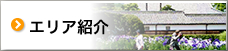 エリア紹介（観光案内 エリア紹介のサイトへリンク）