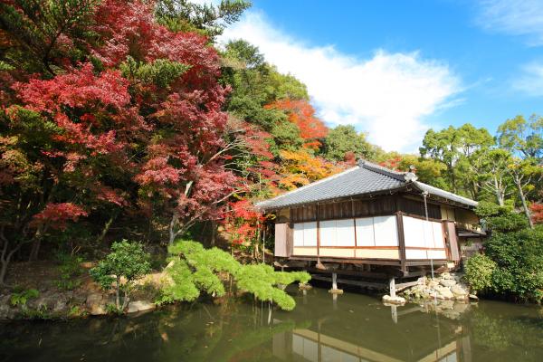 建物周辺の木々の葉が赤や黄色に色付いている写真