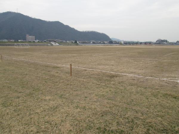青々とした山を背景に芝生の広場が写されている写真