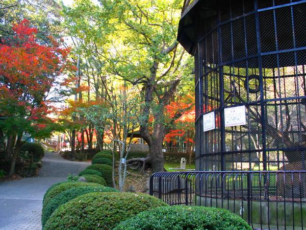 所々紅葉している青々とした木々が生えている小道の脇に動物用の円柱の檻が置かれている写真