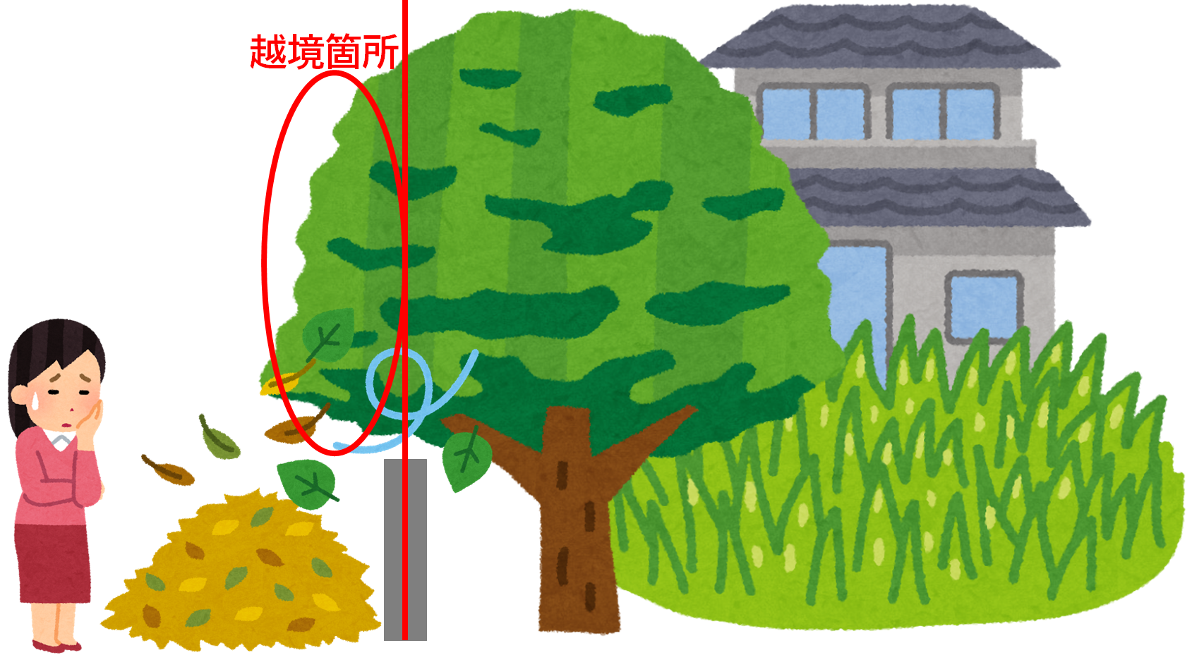 隣の空き家から越境した竹木の枝と落ち葉に困っている女性