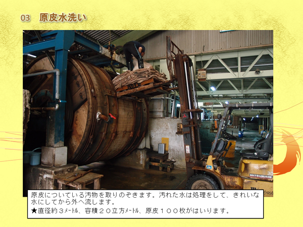 たくさんの皮をフォークリフトで持ち上げ、機械の中に入れようとしている写真と「原皮につている汚物をとりのぞきます。汚れた水は処理をして、きれいな水にしてから外へ流します。直径約3メートル、容積20立方メートル、原皮100枚がはいります。」の文字