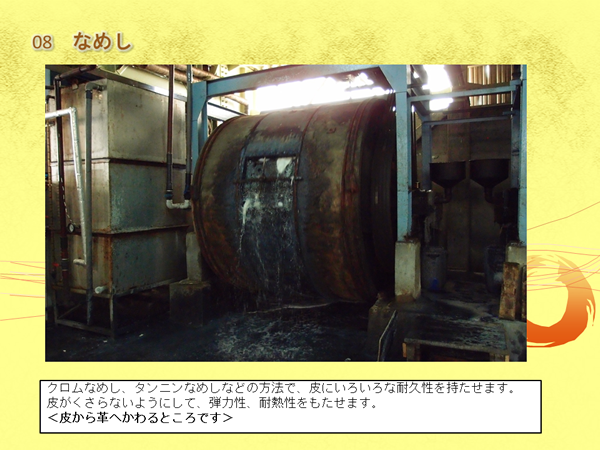 皮を円形の機械に入れて回している写真と「クロムなめし、タンニンなめしなどの方法で、皮にいろいろな耐久性を持たせます。皮がくさらないようにして、弾力性、耐熱性をもたせます。＜皮から革へかわるところです＞」の文字