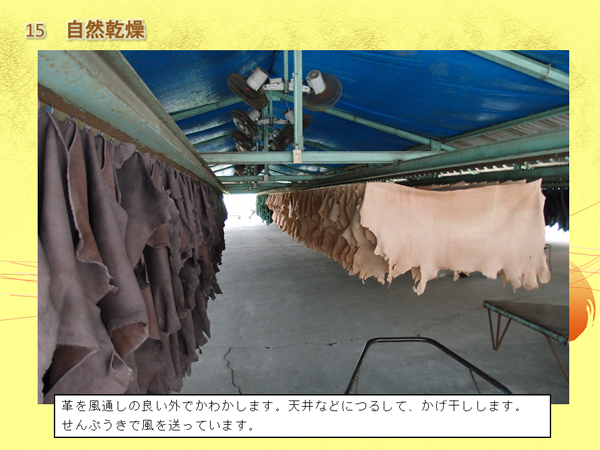 同じ色に染められた革ごとに陰干しされている写真と「革を風通しの良い外でかわかします。天井などにつるして、かげ干しします。せんぷうきで風を送っています。」の文字