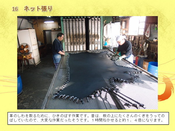 染められた革のふちを男性2人がたくさんの金具で固定し伸ばしている写真と「革のしわを取るために、ひきのばす作業です。昔は、板の上にたくさんのくぎをうってのばしていたので、大変な作業だったそうです。1時間ねかせると約1.4倍になります。」の文字