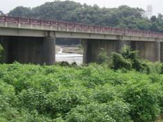 自然豊かな川辺から木々の生えた山を背景に、赤色の柵のようなものがある橋を写している写真