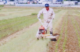 男性が機械を使って草刈りをしている写真