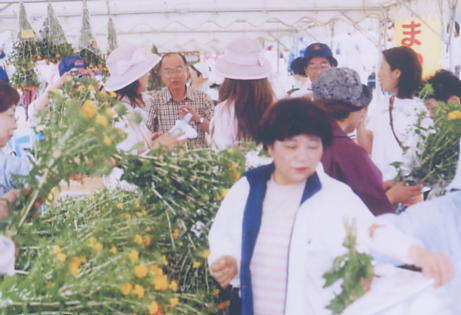 多くの人で賑わっている紅花の切花販売会場の写真