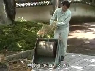 作業服を着た男性が、右足で大きなローラーを動かした脱穀機に稲を両手で持ちもみを取っている様子の写真（脱穀機（わたしたちのたつの市）のページへリンク）