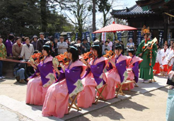 神社の境内の前列に紫色の着物の上からピンク色の袴を着た6名の女の子が小鼓を持ち、1名の女の子が前に太鼓を置いて演奏し、その後ろに緑色の衣装を身にまとった1人の女の子が立ち、後ろに巫女の衣装を着た小さな女の子たちが並んで立っている小五月祭りの様子の写真
