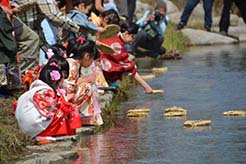 揖保川沿いに座った着物を着た女の子たちが、紙雛をのせた桟俵を川に流している龍野ひな流しの様子の写真