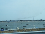 津波で流された車が海に浮かんでいる写