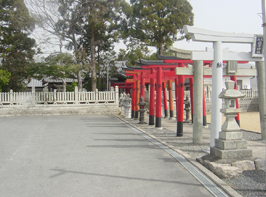 参道にいくつもの鳥居が並んでいる写真
