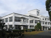 植木や生垣に囲まれた白壁で2階建ての校舎を左斜めから撮影した新宮小学校の写真