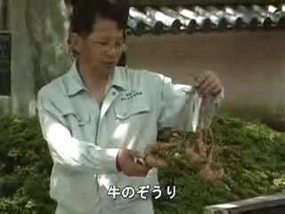 作業服を着た男性が、思い荷物を運ぶ際に蹄が痛まないように牛の蹄につけた牛のぞうりを両手で持っている写真（牛のぞうり（わたしたちのたつの市）のページへリンク）