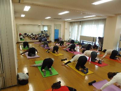 ヨガマットを3列に敷き12人程の参加者が足を伸ばして座り左手は後ろに置き上体を前に倒しているストレッチヨガの写真