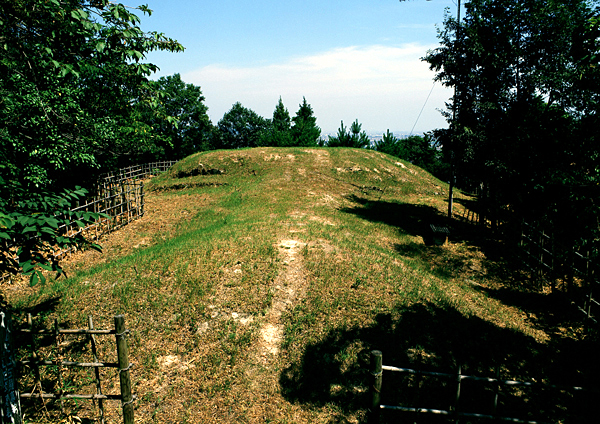 周囲を木々に囲まれ盛り上がった丘陵尾根に緑の若草が芽吹いている養久山1号墳の写真（空からみた養久山1号墳のページへリンク）