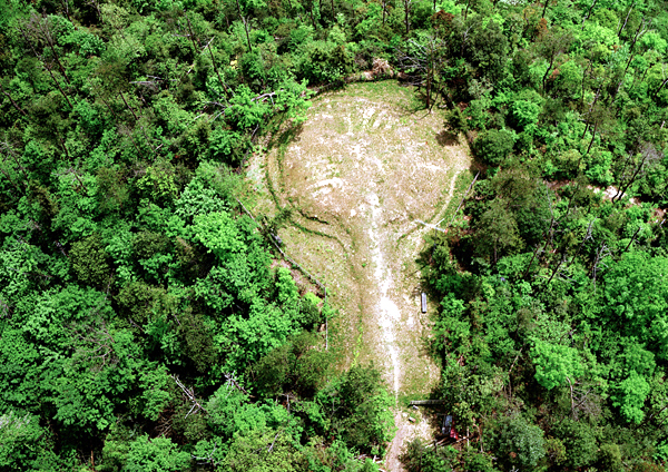 周囲を木で覆われ丘陵尾根に作られた養久山1号墳を上空から撮影した写真