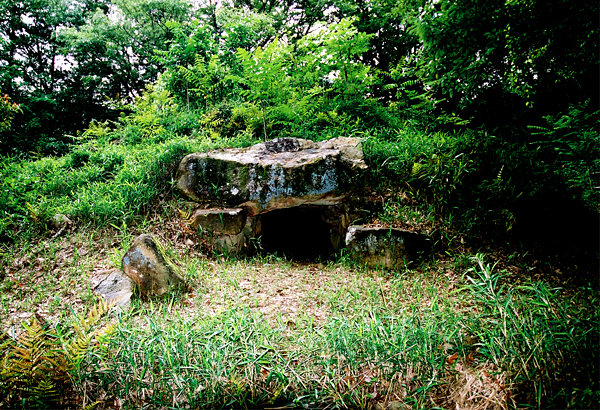草木の生える尾根上にある狐塚古墳の石を積んで造られた入り口を撮影した写真