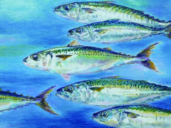 画家の衣畑秀樹さんの海を泳ぐ鯖を描いた作品