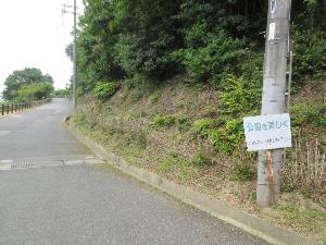 中腹駐車場付近のほぼ枝のみとなったあじさいが写る画像