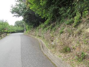 中腹駐車場付近、葉がほとんどついてないあじさいが写る画像