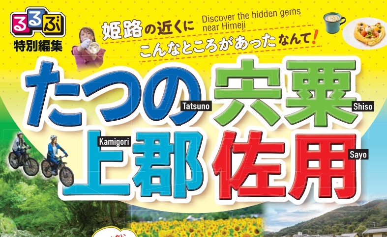 るるぶチラシ