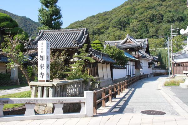 奥へと道が伸びている左側に「如来寺」と書かれた四角柱が建っている写真