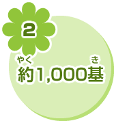2 約1,000基